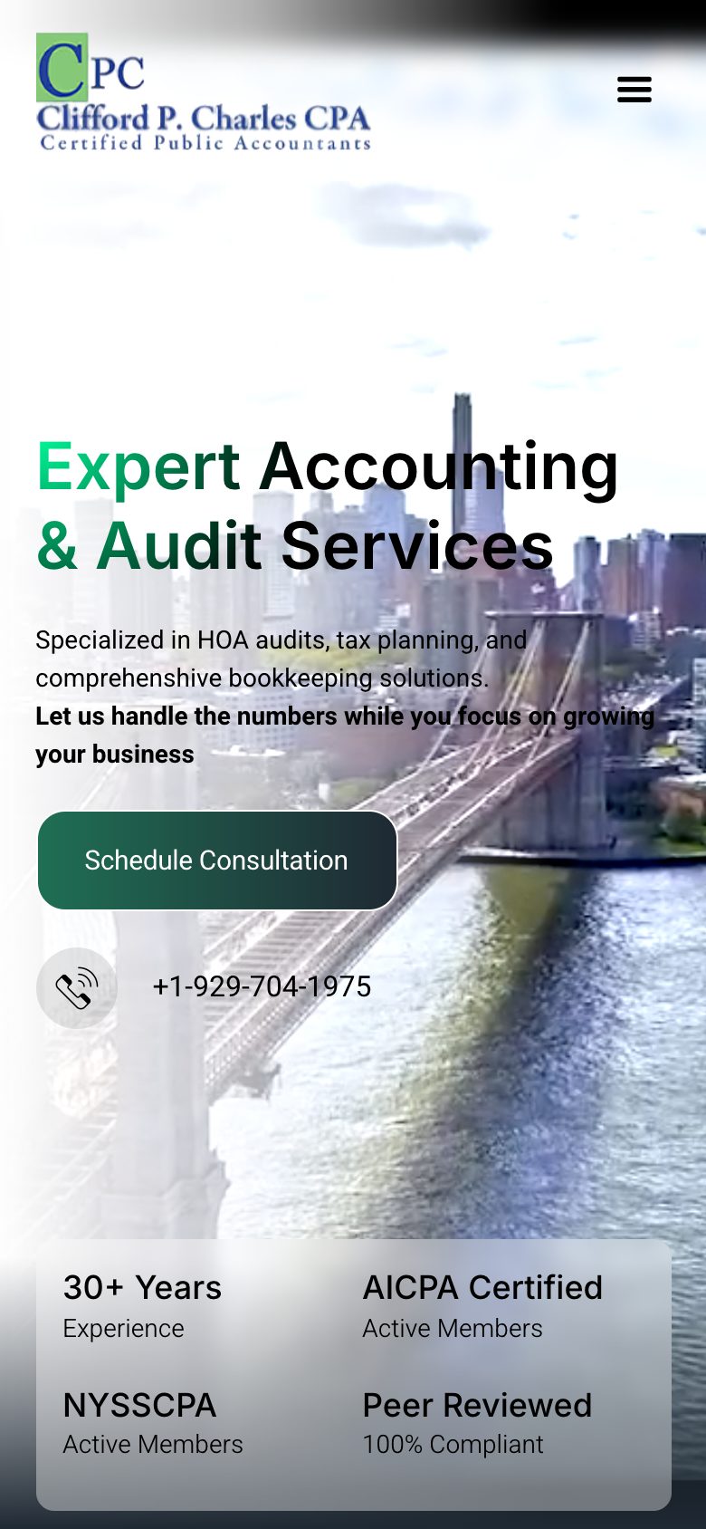 CPA Firm: Brand, Website & Paid Growth website on a phone