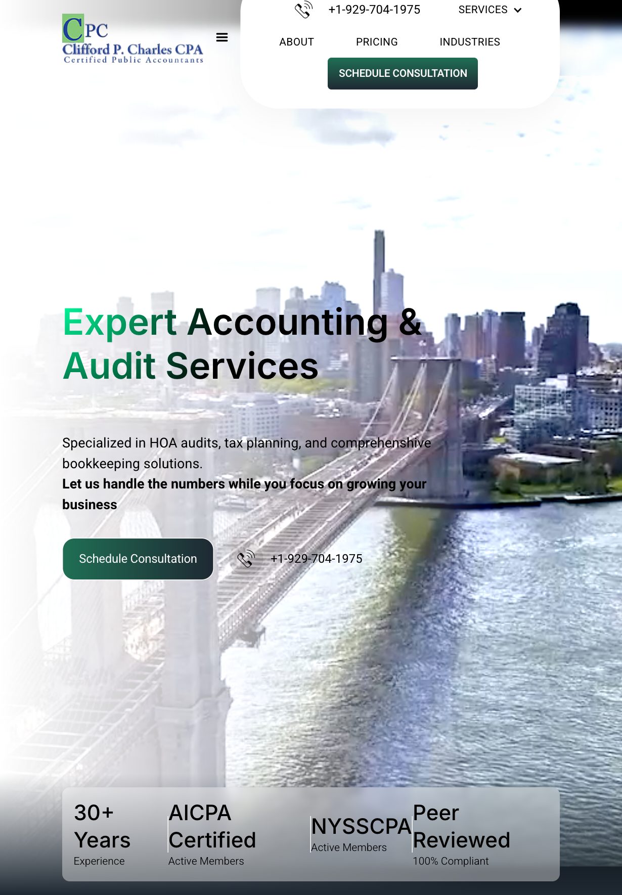 CPA Firm: Brand, Website & Paid Growth website on a tablet