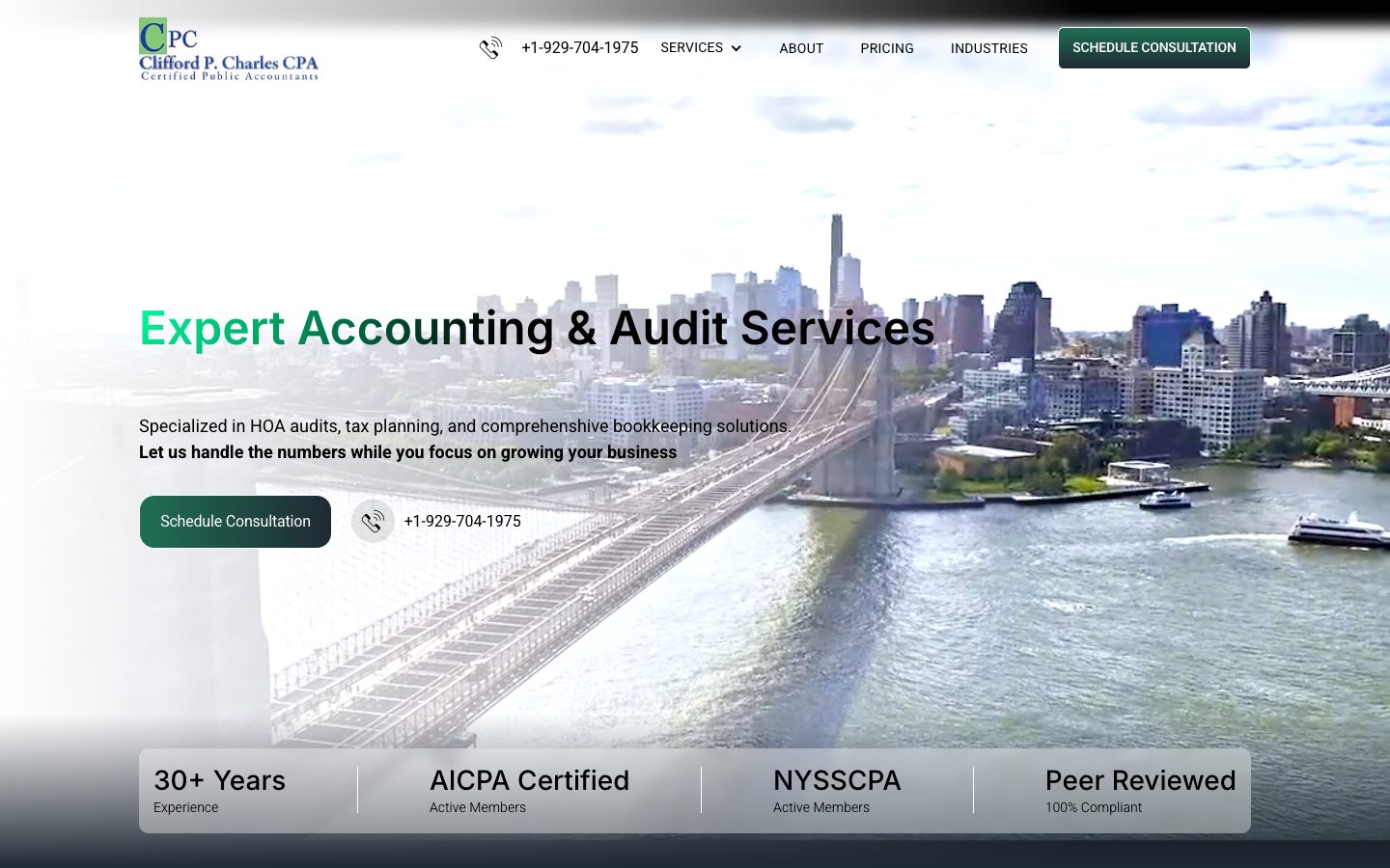 CPA Firm: Brand, Website & Paid Growth